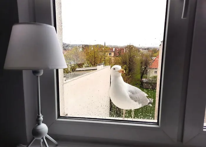 Sopociak Apartmán Sopoty